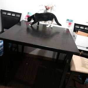 Large dark brown table and 4 chairs to go with table.